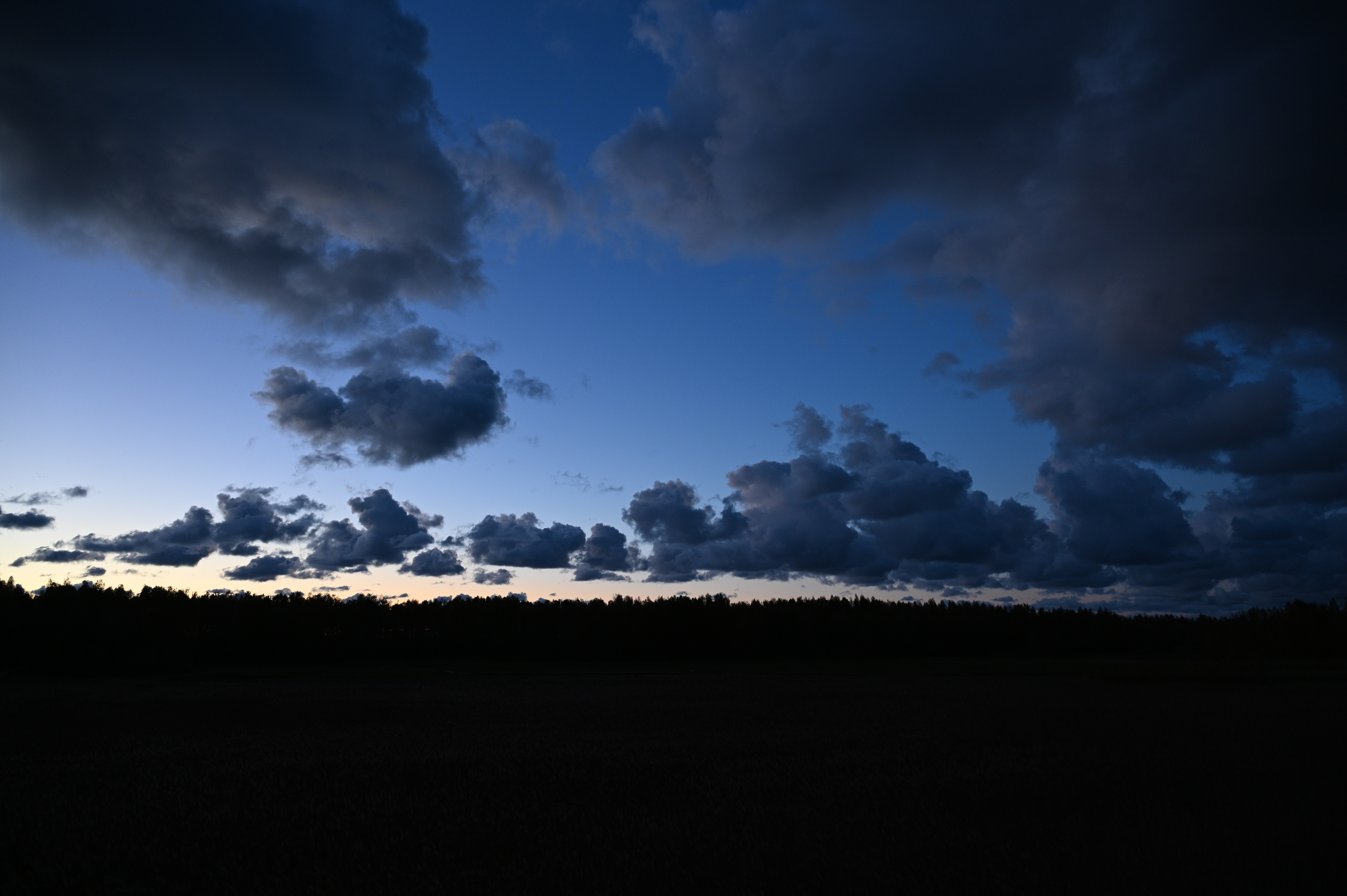 2025/10/18 - walk/DSC_0632.JPG